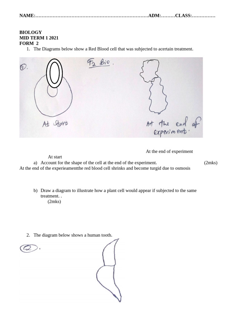 Set2 Bio MidTerm 1 2021 Teacher.co .Ke F2 Exam | PDF | Blood | Plants