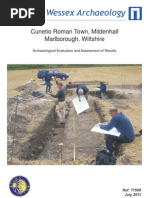 Download Time Team - Cunetio Roman Town Wiltshire by Wessex Archaeology SN96287105 doc pdf