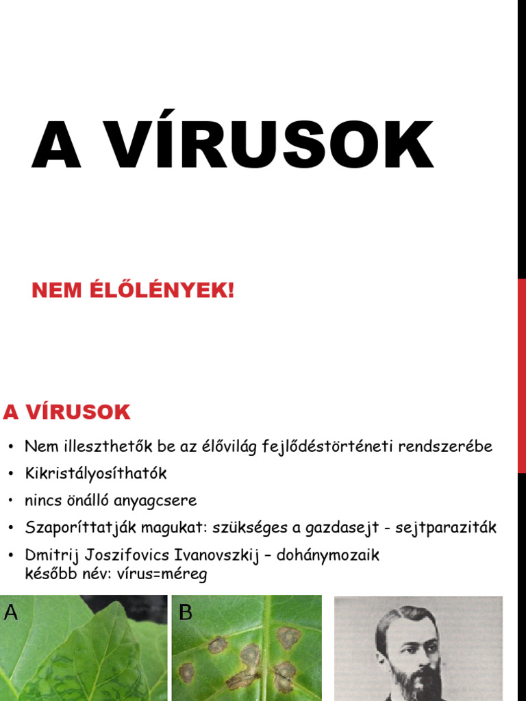 Biológia 9. - Vírusok - Vázlat | PDF