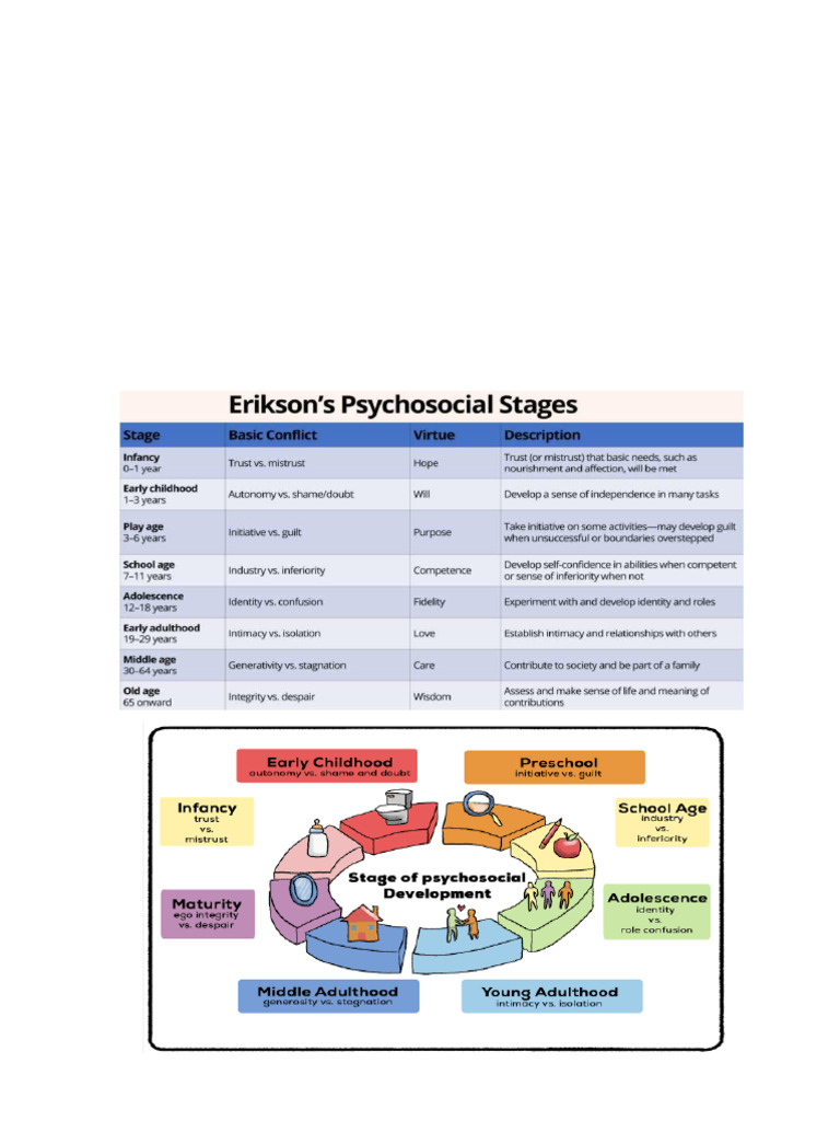Developmental Theory | PDF