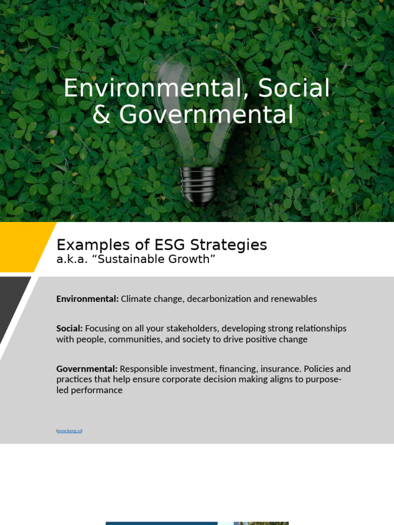 ESG Strategies for Sustainable Growth | PDF | Sustainability ...