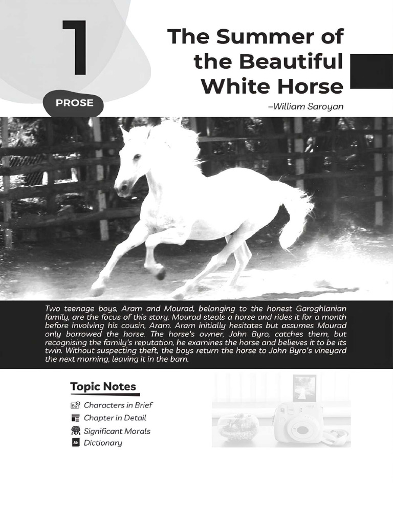 Summer of the Beautiful White Horse | PDF