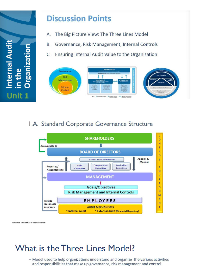 IA in the Organization | PDF
