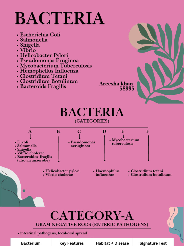 Bactrias Sir Part Micro Classification | PDF | Bacteria | Gram Negative ...