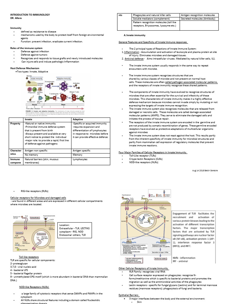 Overview of Innate Immunity Mechanisms | PDF | Immune System | Innate ...
