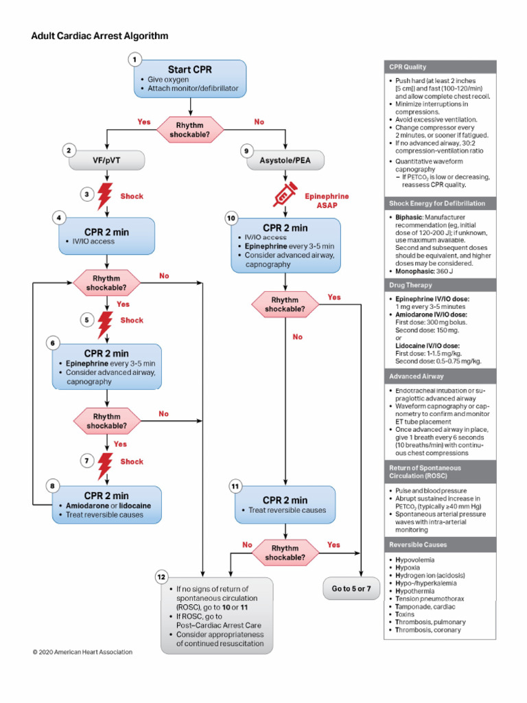 HHH | PDF