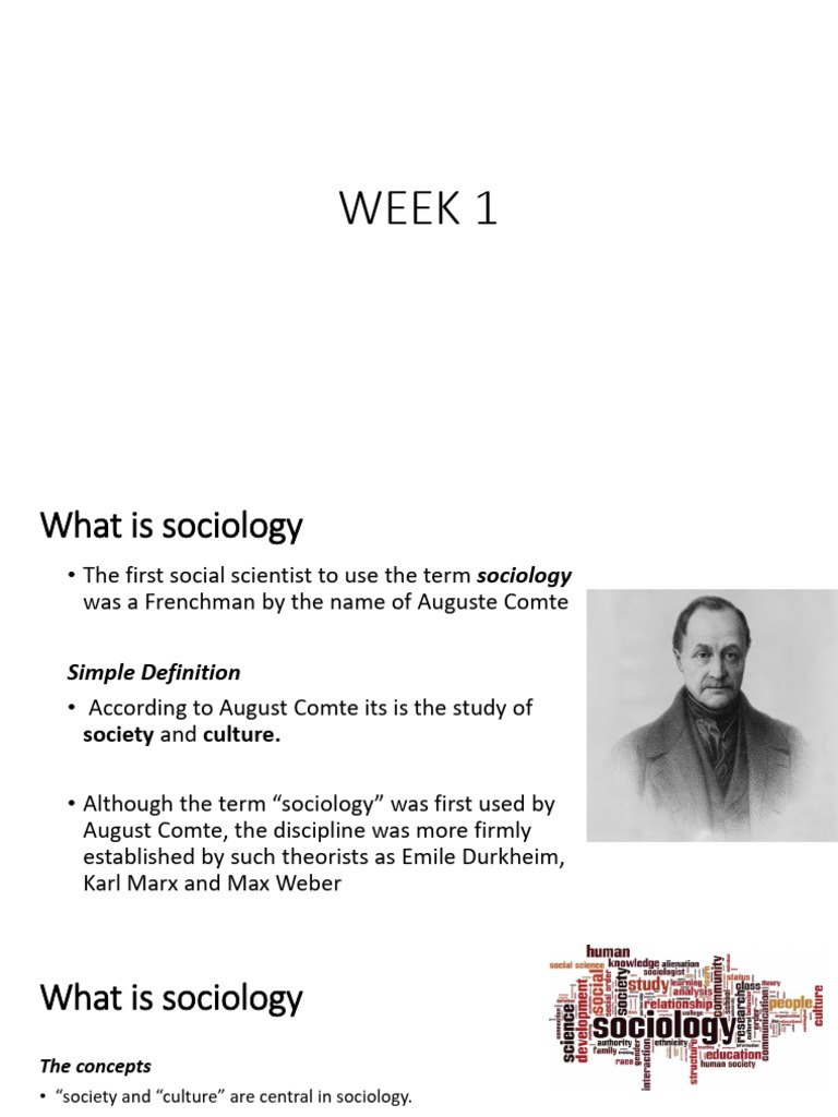 Introduction to Sociology Concepts | PDF | Sociology | Social Sciences