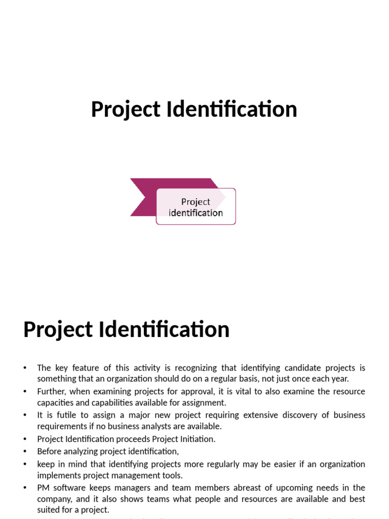 Project Identification | PDF | Project Management | Business