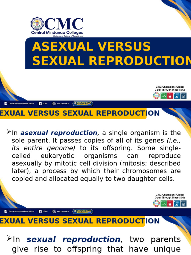 Asexual vs. Sexual Reproduction Explained | PDF | Virus | Sexual ...