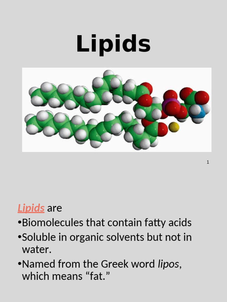 Understanding Lipids: Types and Functions | PDF | Triglyceride | Lipid