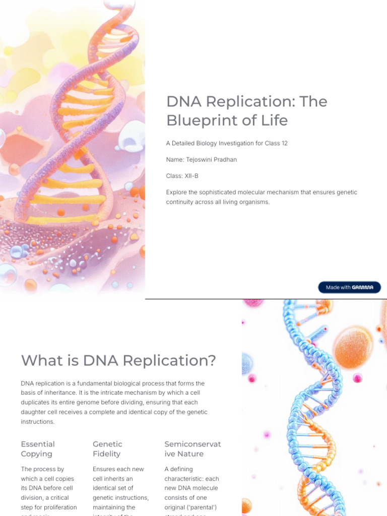 DNA Replication Explained for Class 12 | PDF | Dna Replication | Dna