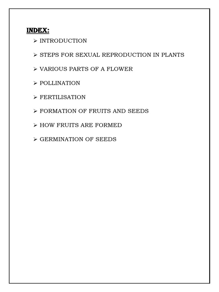 INDEX 2.0 | PDF