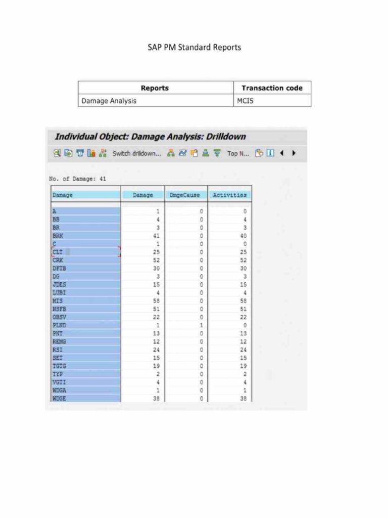 SAP PM Standard Reports | PDF