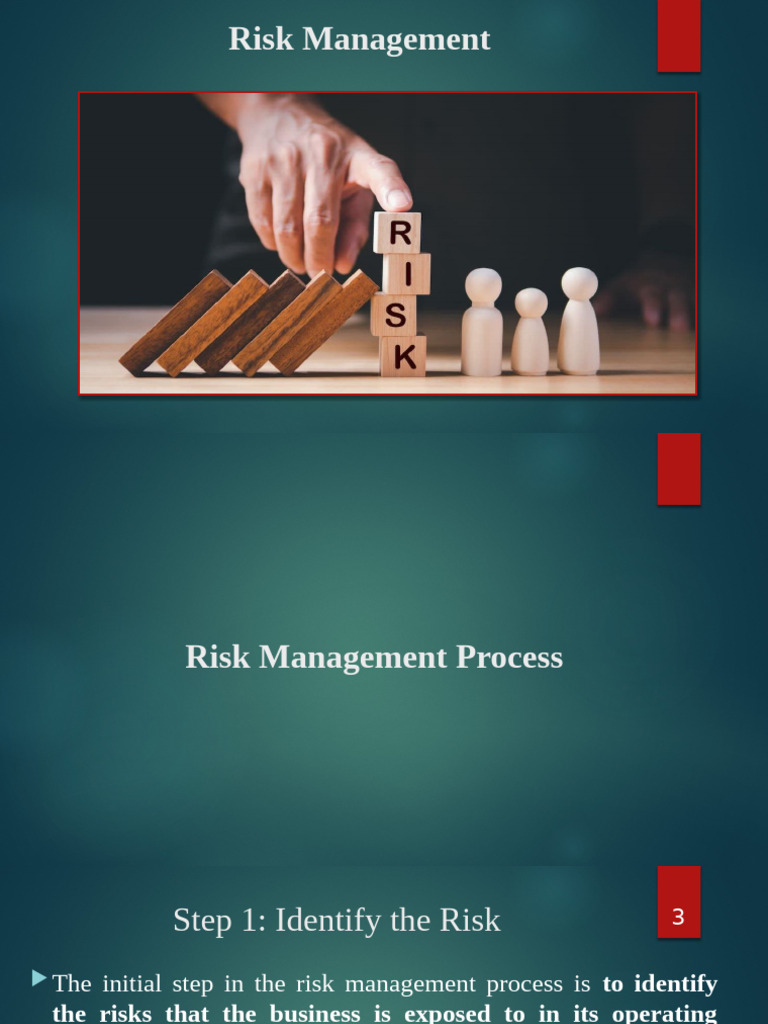 Understanding Risk Management Steps | PDF | Risk Management | Fukushima ...