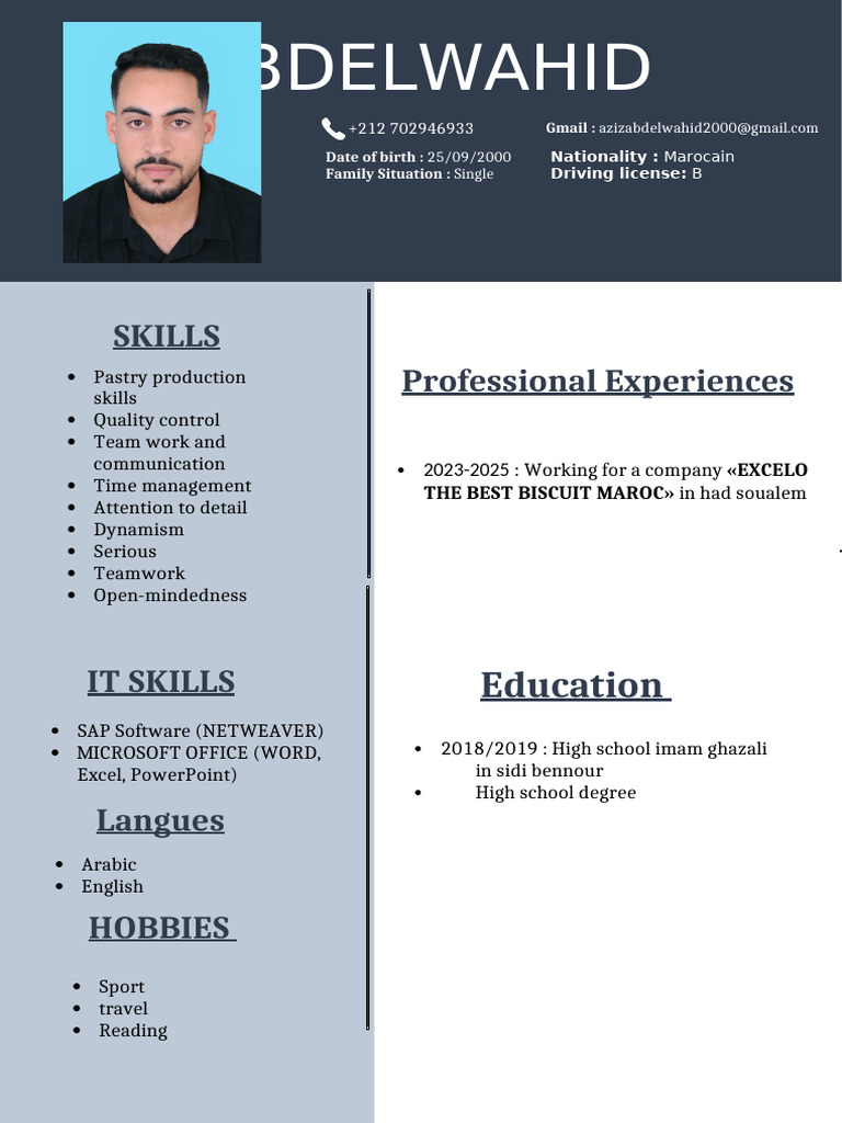 Abdelwahid Aziz's CV and Skills Overview | PDF