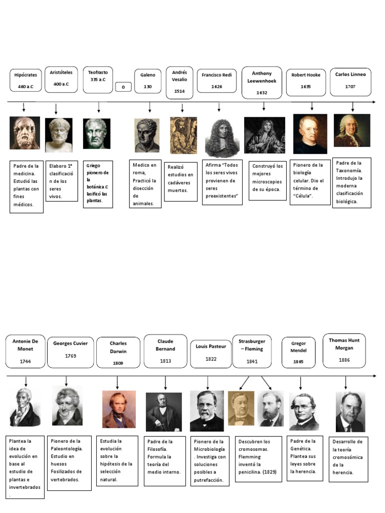 Línea de Tiempo Historia de la Biología