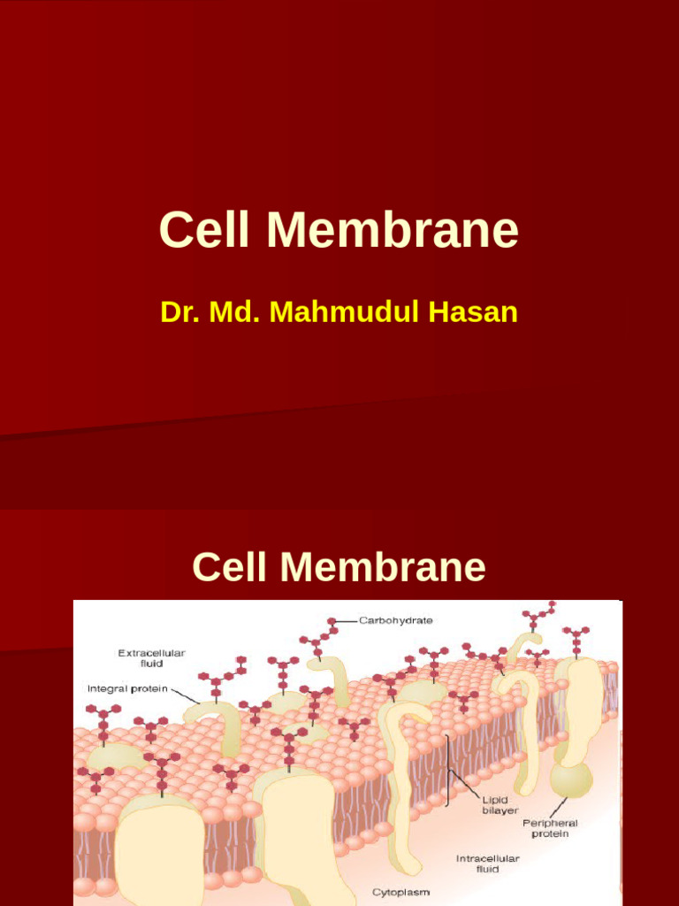 2.cell Membrane | PDF | Cell Membrane | Lipid Bilayer