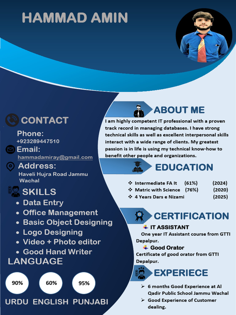 Hammad Rizvi CV-1 | PDF