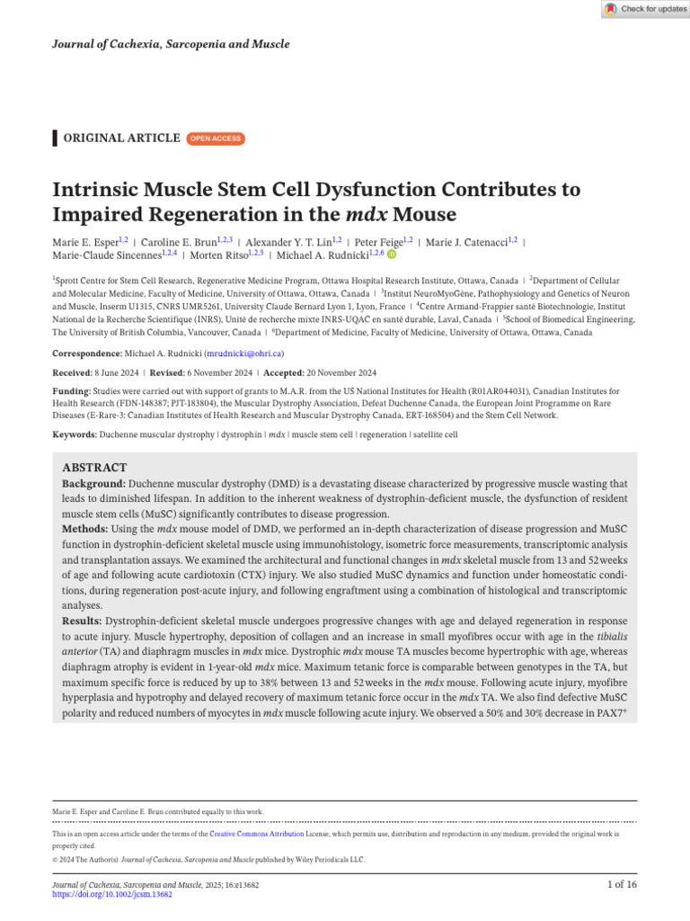 Muscle Stem Cell Dysfunction in DMD | PDF | Biology | Cell Biology