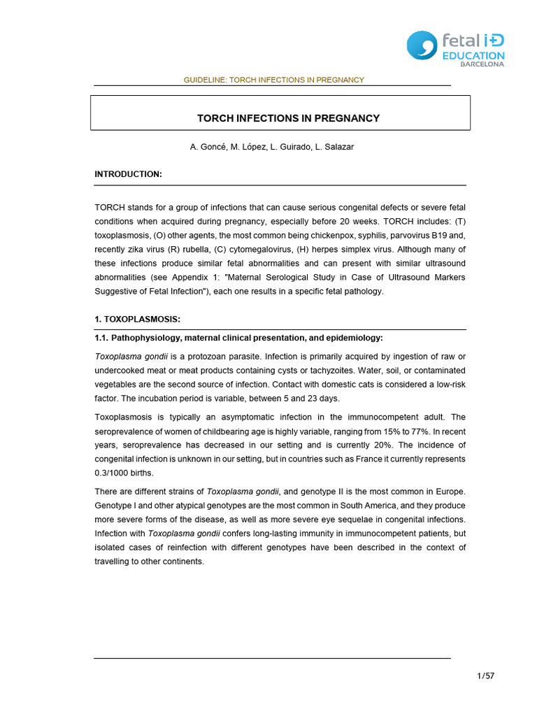 Torch Infections in Pregnancy | PDF | Polymerase Chain Reaction | Pregnancy