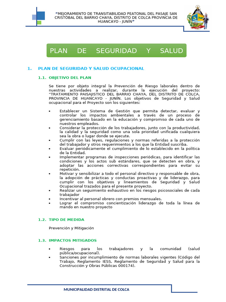 Plan de Seguridad y Salud Ocupacional | PDF | Seguridad y salud ...