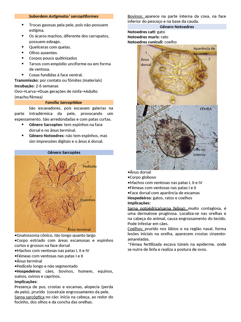 Características e Ciclo dos Ácaros Sarcoptiformes | PDF | Zoologia