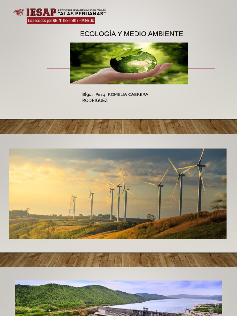 Ecologa y Medio Ambiente Semana 14 | PDF | Energía renovable | La ...