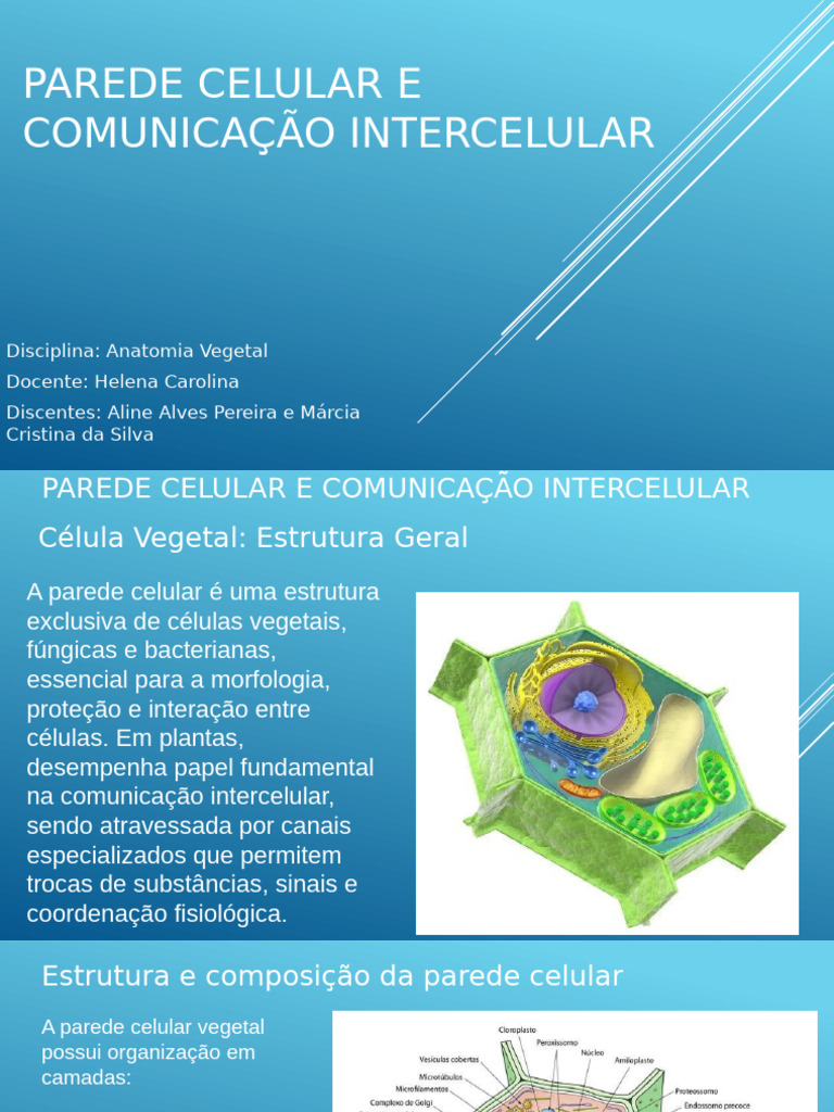 Parede Celular e Comunicação Intercelular | PDF | Parede celular ...