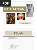 Anatomie de l'os hyoïde | PDF | Cou | Système squelettique