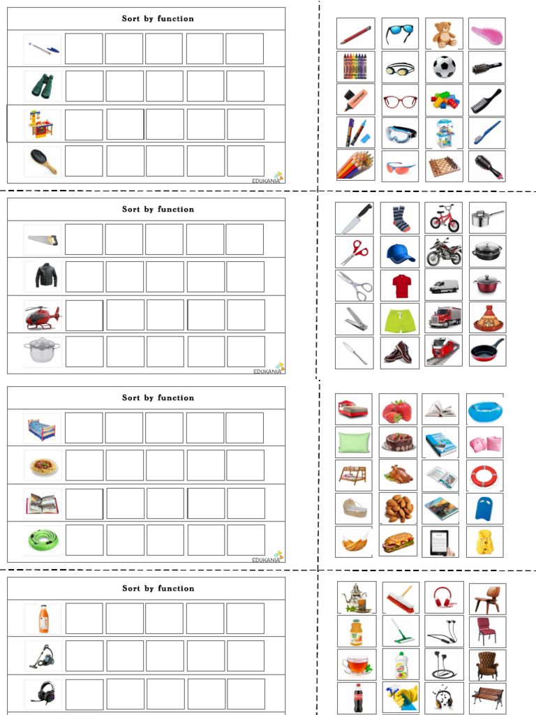 Sort by Function Advanced Level 4 | PDF