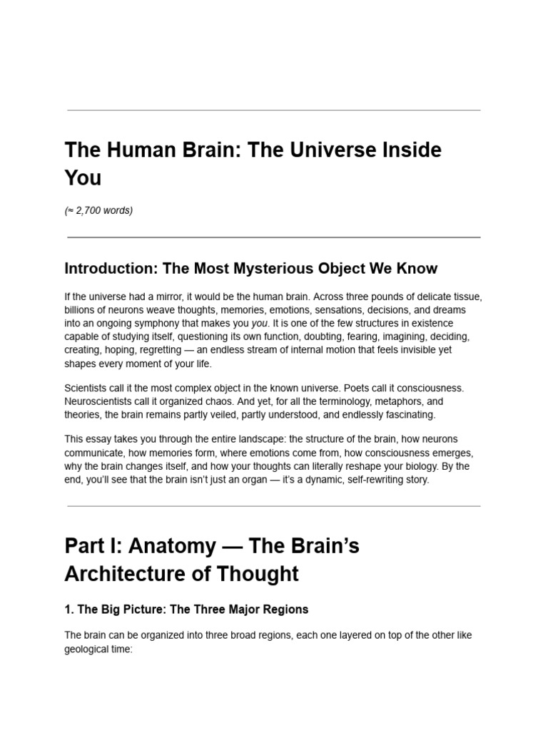 Understanding the Human Brain's Complexity | PDF | Memory ...