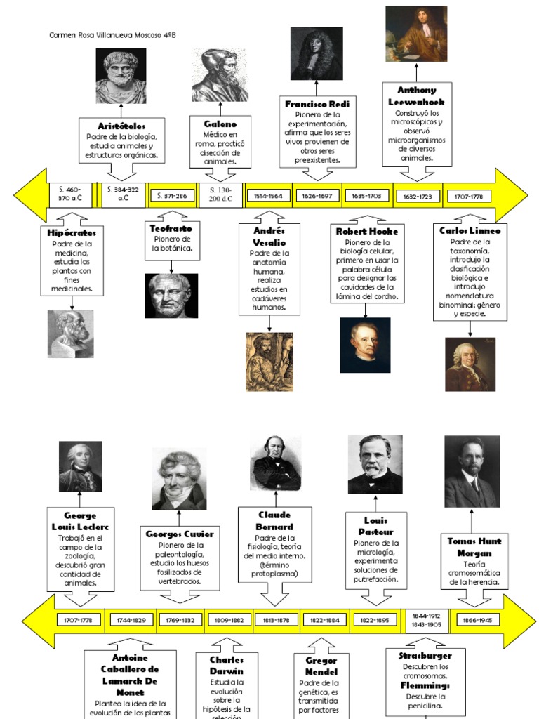 Linea Del Tiempo Biología Evolución