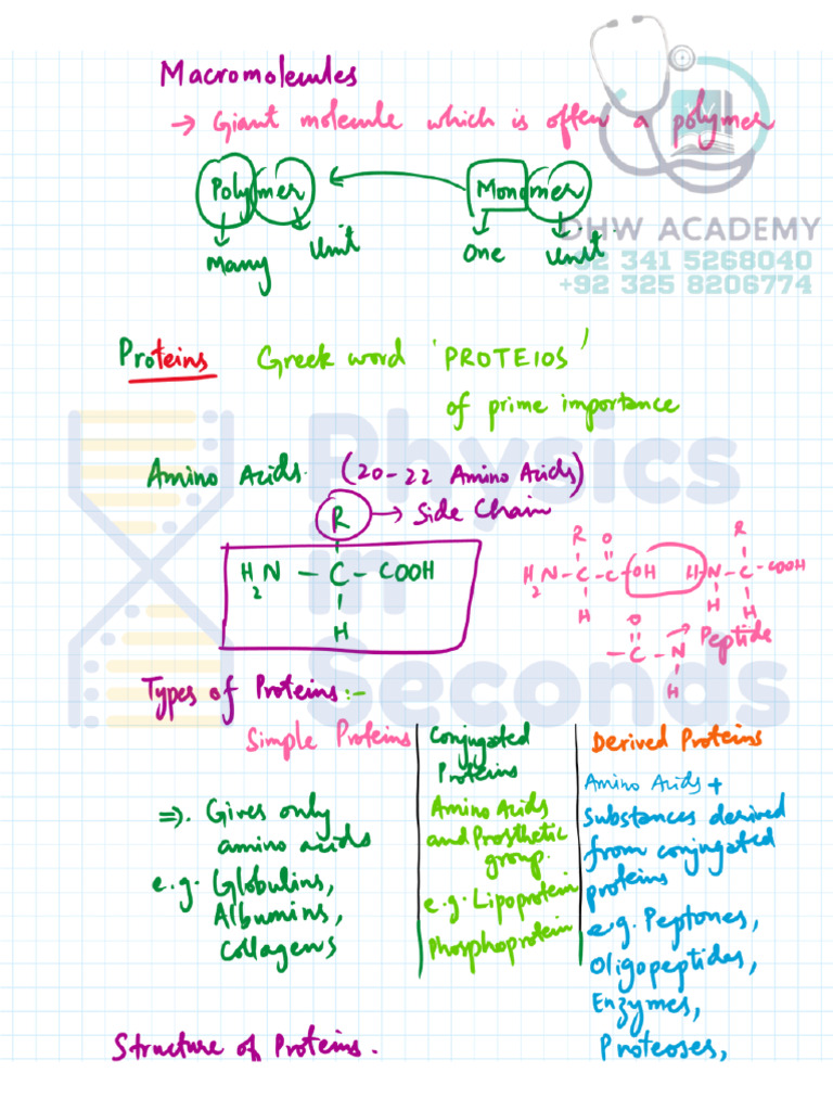 Macromolecules Notes 2025 - by Physics in Seconds - DHW Academy | PDF