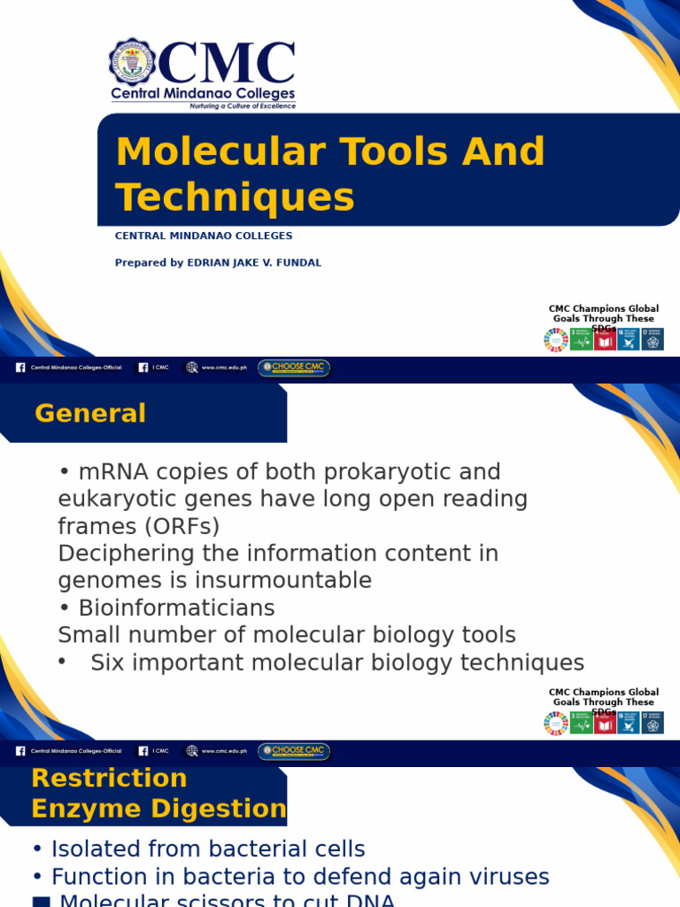 Molecular Biology Techniques Overview | PDF | Molecular Cloning ...