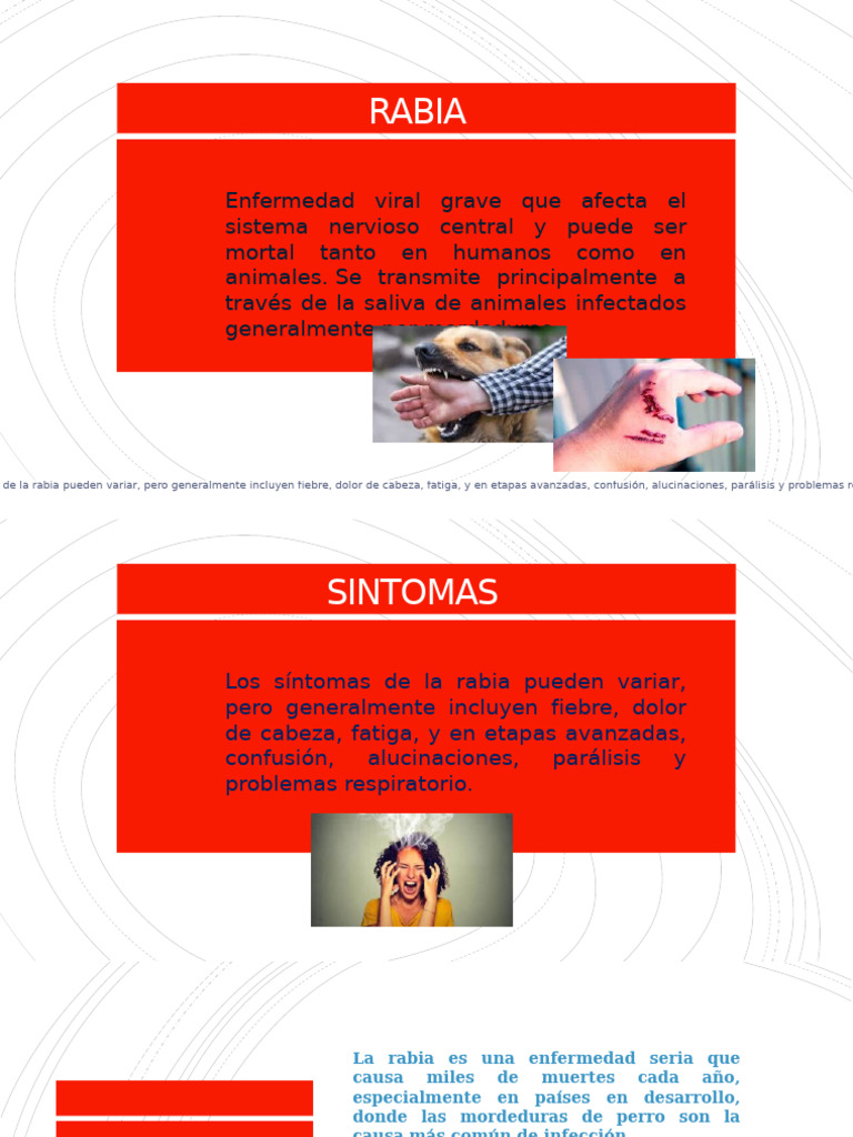 Rabia | PDF | Rabia | Enfermedades y trastornos
