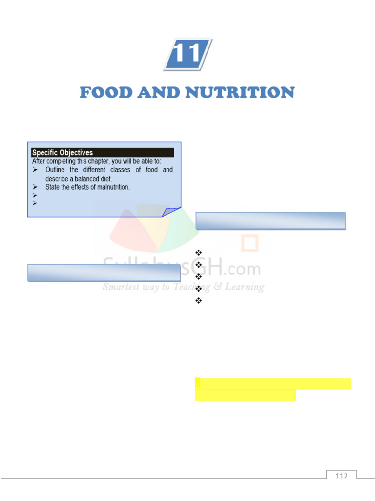 Food and Nutrition Basics Explained | PDF | Carbohydrates | Foods