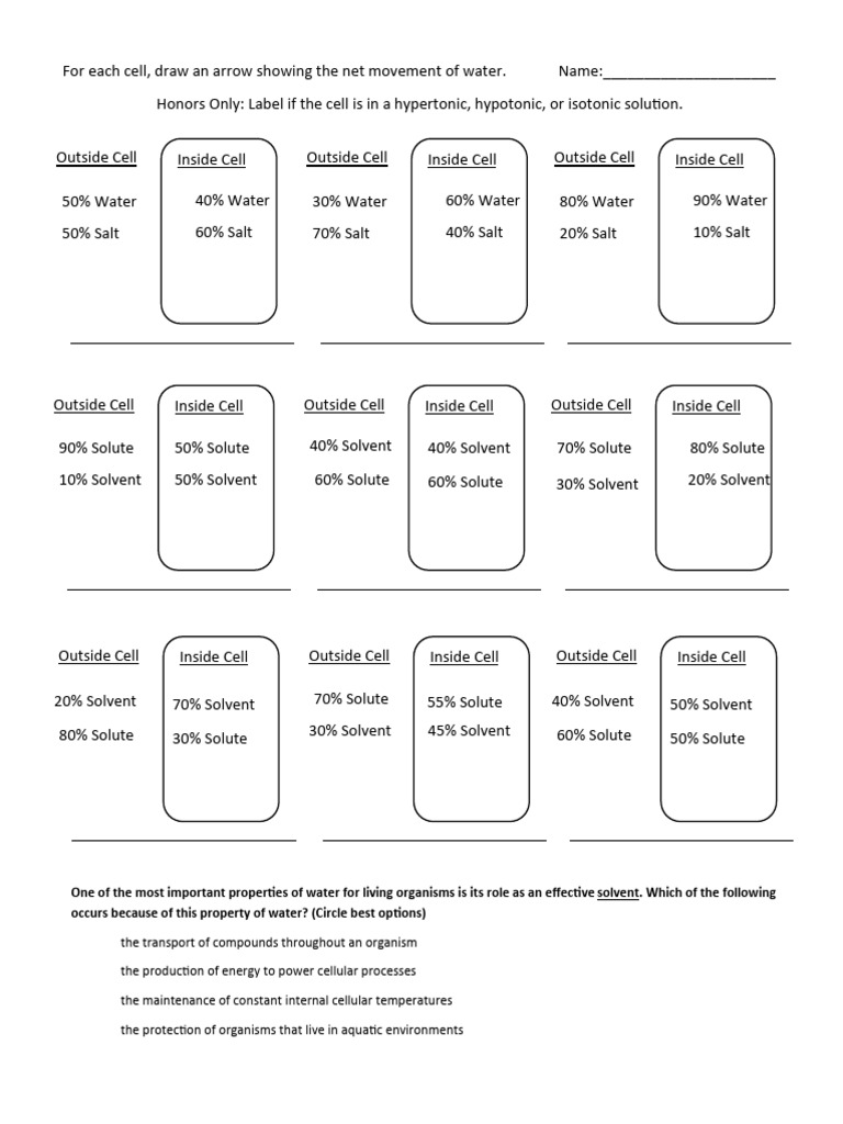 Osmosis Diffusion 2 | PDF