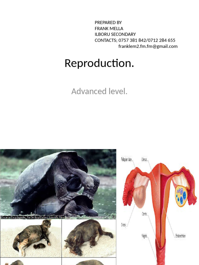 Understanding Reproduction: Types & Processes | PDF | Meiosis | Mitosis