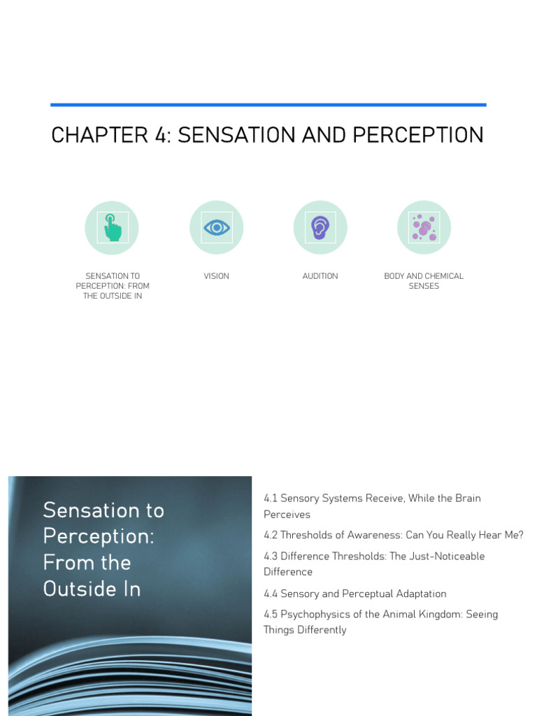 Sensation and Perception Explained | PDF | Perception | Auditory System