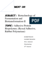 Biopolymer Adhesives and Their Applications