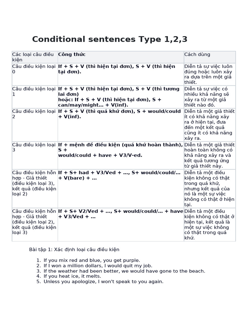 UNIT 10 Conditional Sentences Type 123 | PDF