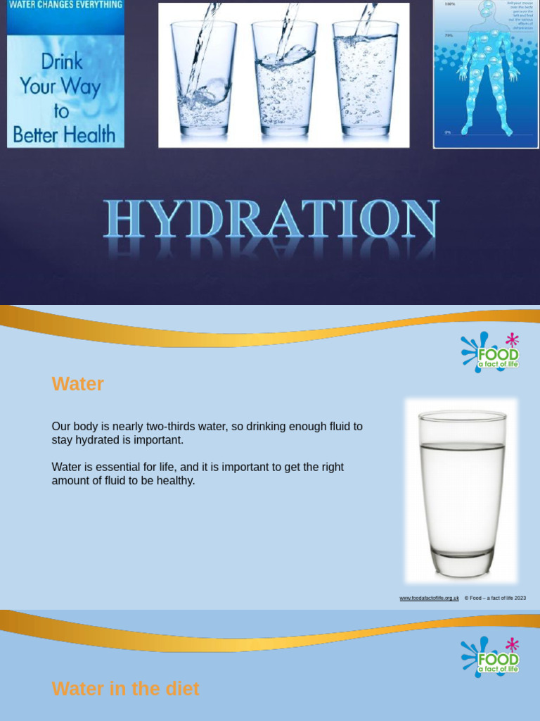 Essential Guide to Hydration | PDF | Dehydration | Foods
