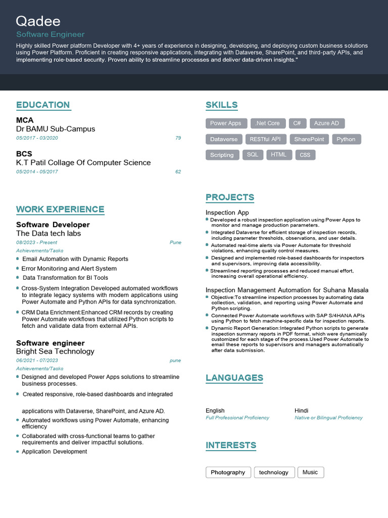 Power Platform Developer Resume | PDF | Automation | Python ...