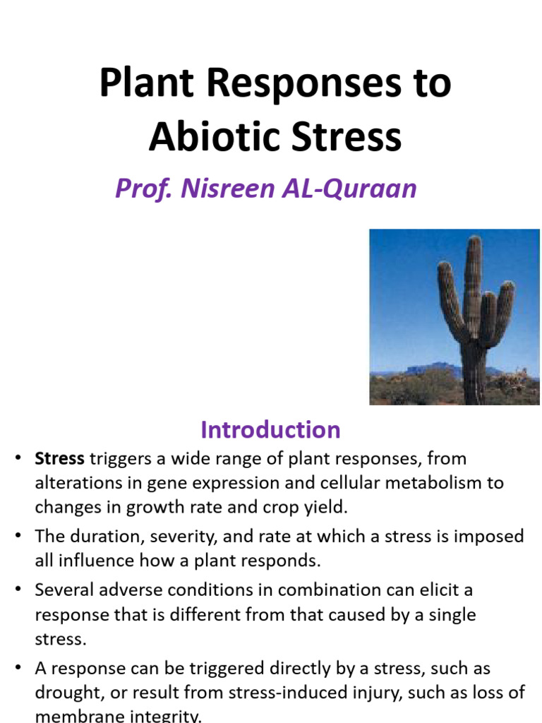 Plant Responses to Abiotic Stress | PDF | Signal Transduction | Cell ...