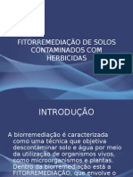 Fitorremediação de Solos Contaminados Com Herbicidas