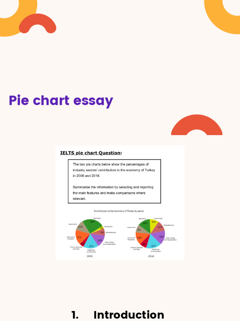 Pie Chart Analysis and Vocabulary Guide | PDF