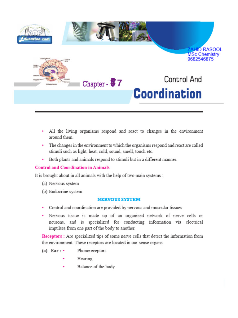 Control and Coordination in Organisms | PDF | Hormone | Nervous System