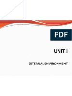 External Environment: Unit I