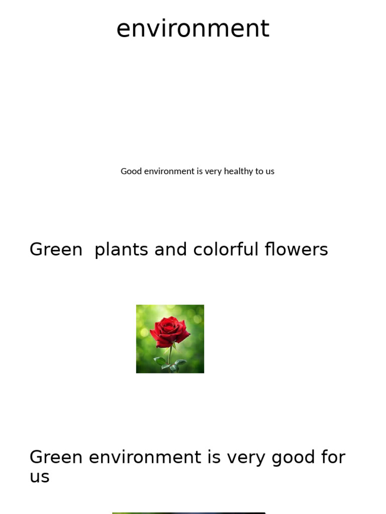 Environment | PDF