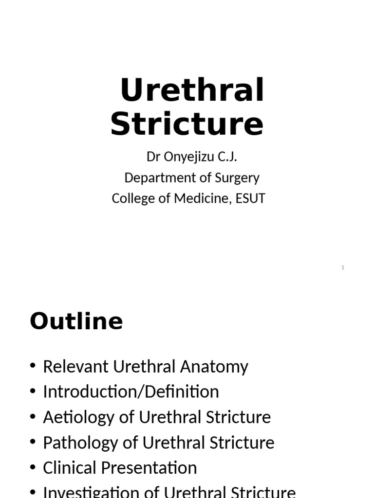 Urethral Stricture - Dr Onyejizu-2 | PDF | Genitourinary System | Urology